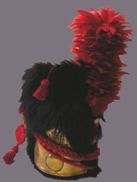 Bearskin